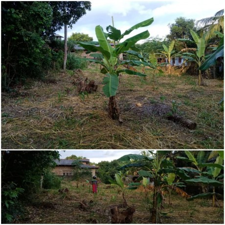 Land For Sale In Embilipitiya