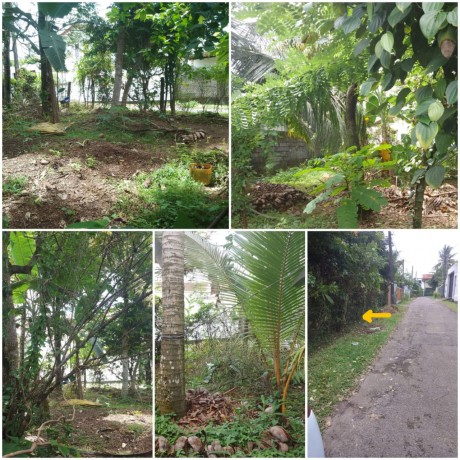 Land For Sale In piliyandala