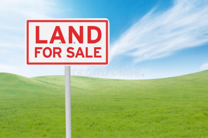 Land For Sale In Kirindiwela