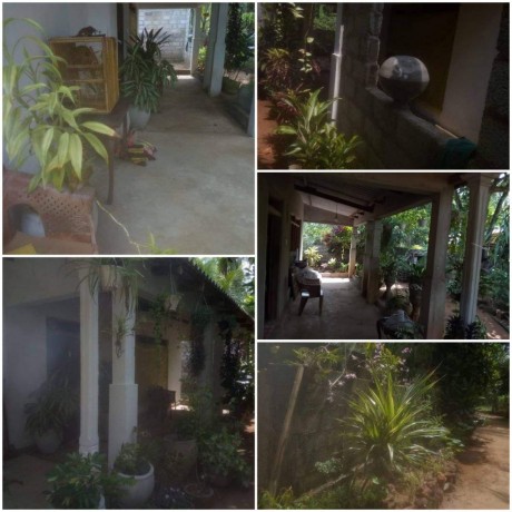 House With Land For Sale Anuradhapura