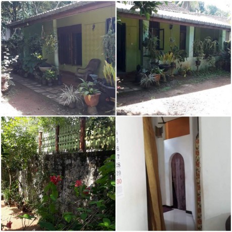 House with Land sale in GAMPAHA